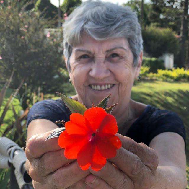 Wandercy Vieira Pereira (Wanda)